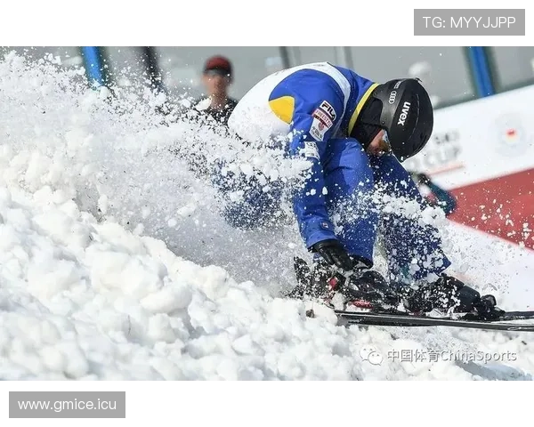 2017世界杯滑雪(世界杯滑冰比赛视频)sports